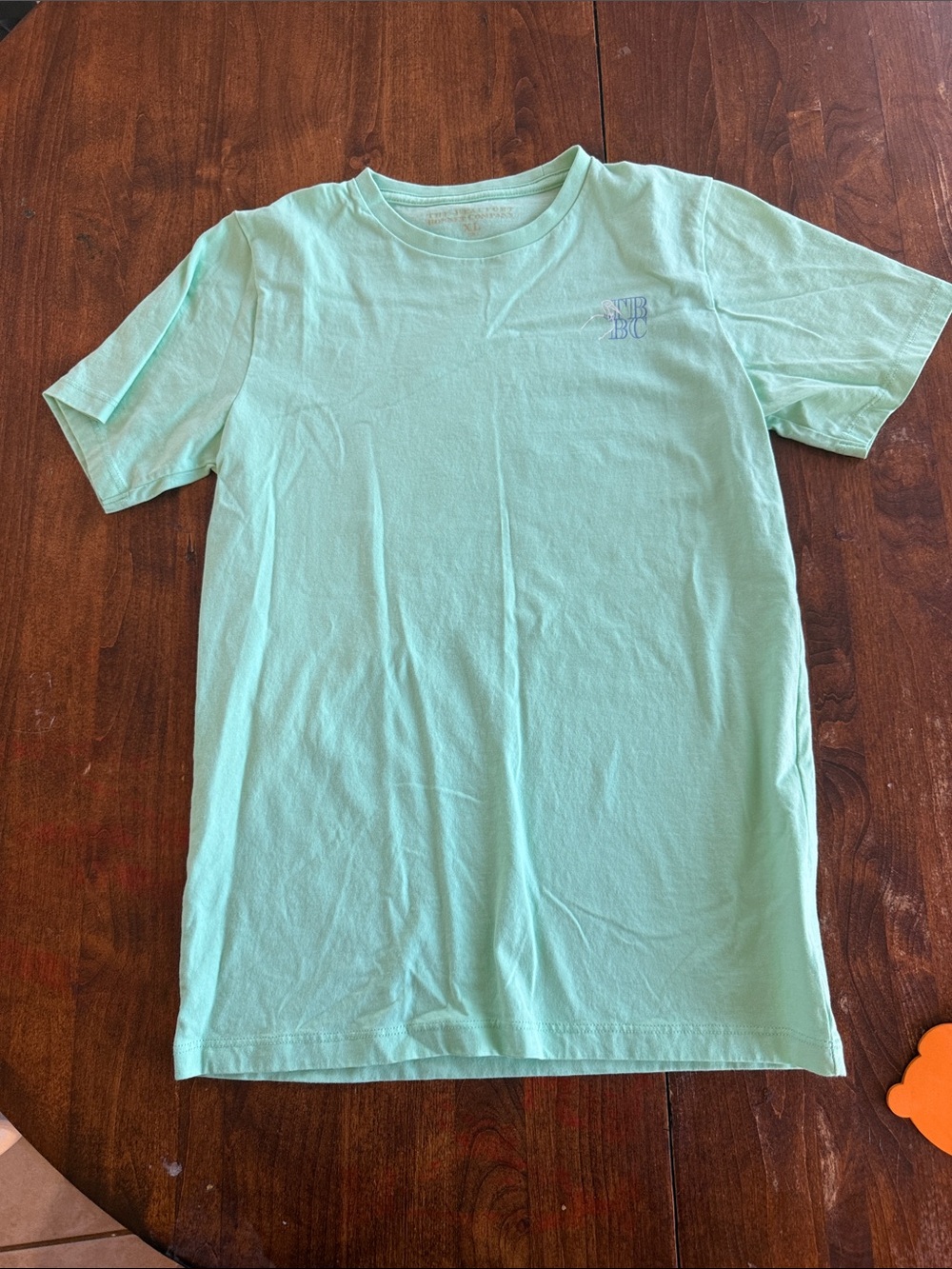 The Beaufort Bonnet Company Mint Green Short Sleeve Tee for Kids